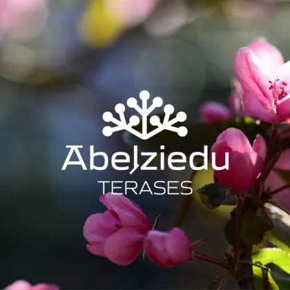 KAAMOS. NEKUSTAMĀ ĪPAŠUMA IDENTITĀTE.