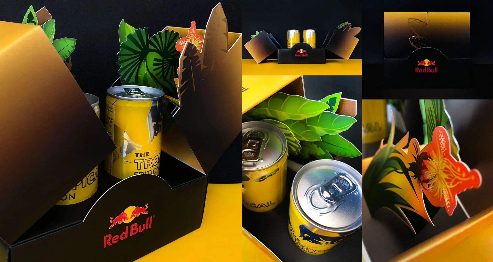 RED BULL. Jaunās garšas komunikācijas iepakojums.